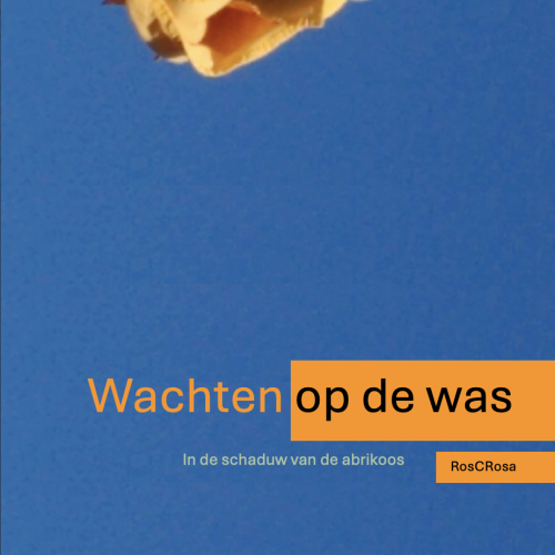Wachten op de was poster